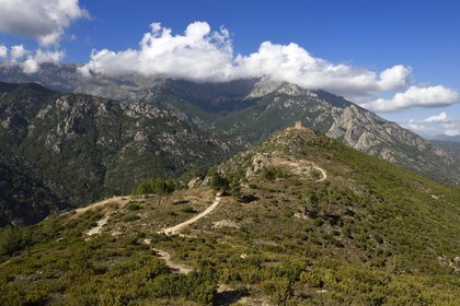 France, Haute-Corse (2B), Vivario, ruine du fort de Vivario ou redoute de Pasciolo