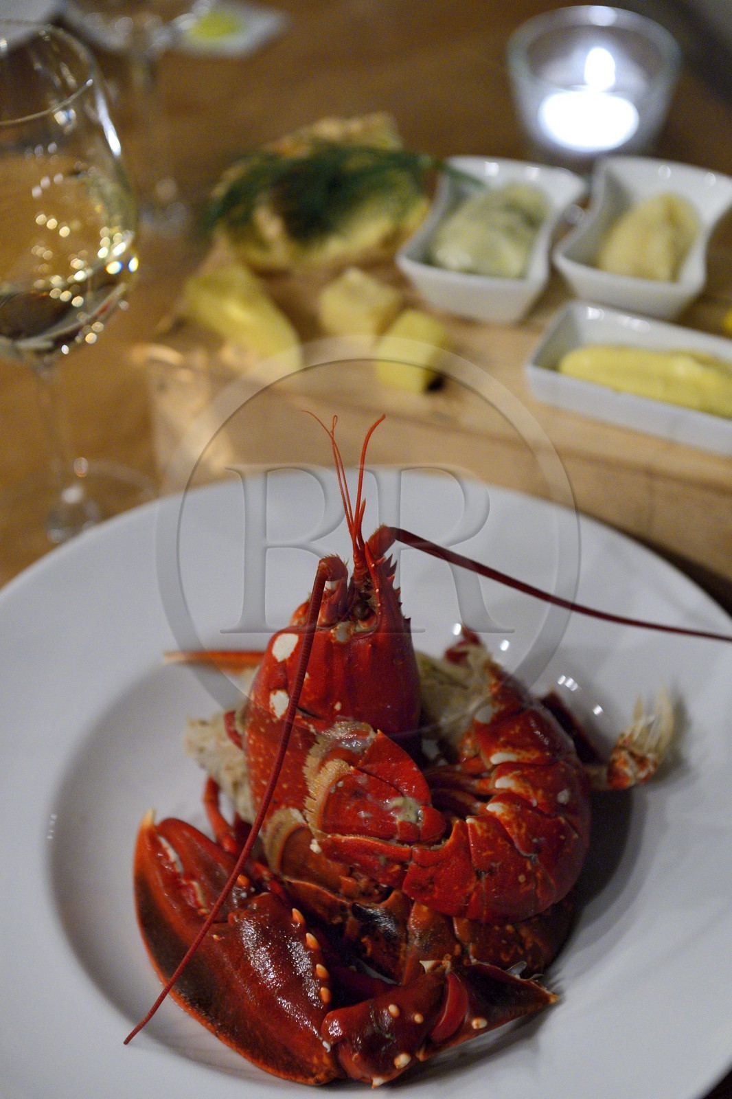 Suède, Västra Götaland, Iles Koster, Ekenäs, l'hotel Ekenäs, plat de homard