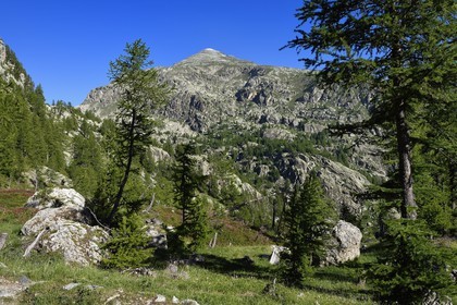 France, Alpes-Maritimes (06), parc national du Mercantour, vallon de la Minière en contrebas de la Vallée des Merveilles et le Mont Bégo (2872m) en arrière plan
