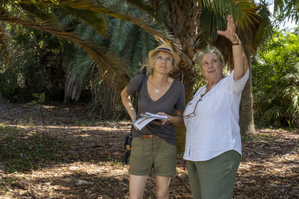 France, Alpes-Maritimes, Antibes, The Botanical Garden of Villa Thuret (attached to INRAE), labeled Jardin Remarquable (Outstanding Garden) and Remarkable Tree, Catherine Ducatillion, Director Villa Thuret Experimental Unit on the right