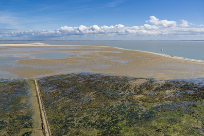 France, Gironde, Verdon sur Mer, view of the rocky plateau of Cordouan from the top of the Cordouan lighthouse, listed as World Heritage by UNESCO, the stone pavement called peyrat