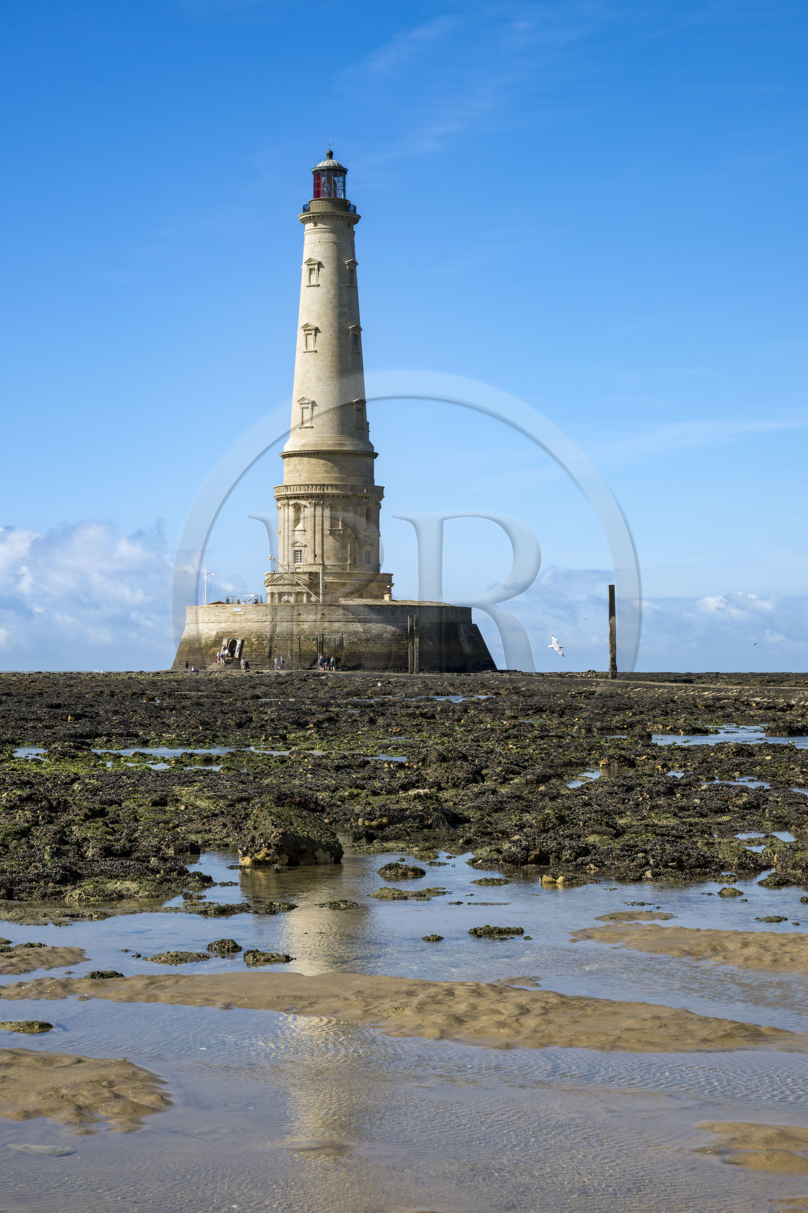 France, Gironde, Verdon sur Mer, rocky plateau of Cordouan at low tide, lighthouse of Cordouan, listed as World Heritage by UNESCO