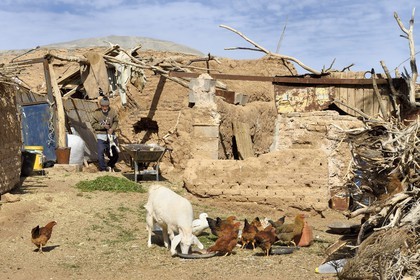Iran, Isfahan province, Dasht-e Kavir desert, the oasis of Arousan in Khur and Biabanak County, Mohamed Vahab 85 years in his small chickens and goats farm