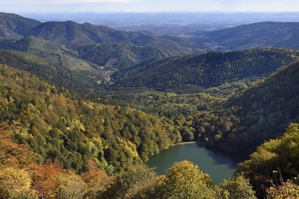 France, Vosges, Ballons des Vosges Regional Natural Park, Saint Maurice sur Moselle, the Lac des Perches below Gazon Rouge, the village of Rimbach pres Masevaux, the plain of Alsace and the Alps in the background