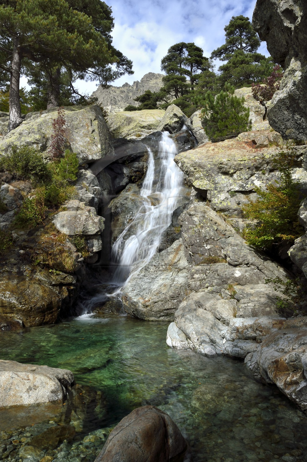 France, Haute-Corse (2B), Vivario, GR 20, étape entre le refuge de l'Onda et Vizzavona, foret de Vizzavona, les cascades des anglais, groupe de cascades dans la vallée de l'Agnone au pied du Monte d'Oro