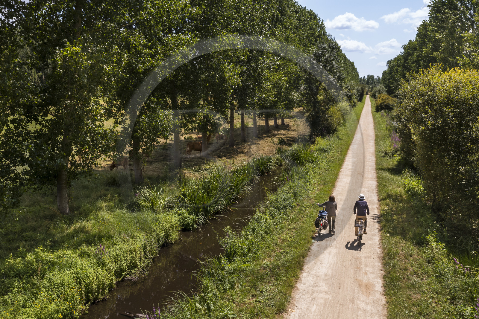 France, Deux-Sèvres, le Marais Poitevin, Green Venice, Sansais, bicycle journey along the Sevre Niortaise River banks on the Vélo Francette cycle path (aerial view)