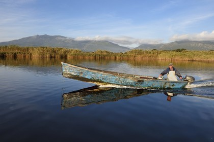France, Haute Corse, fisherman in a boat on the pond of Biguglia (Stagnu di Chiurlinu), nature reserve of Corsica (RNC)
