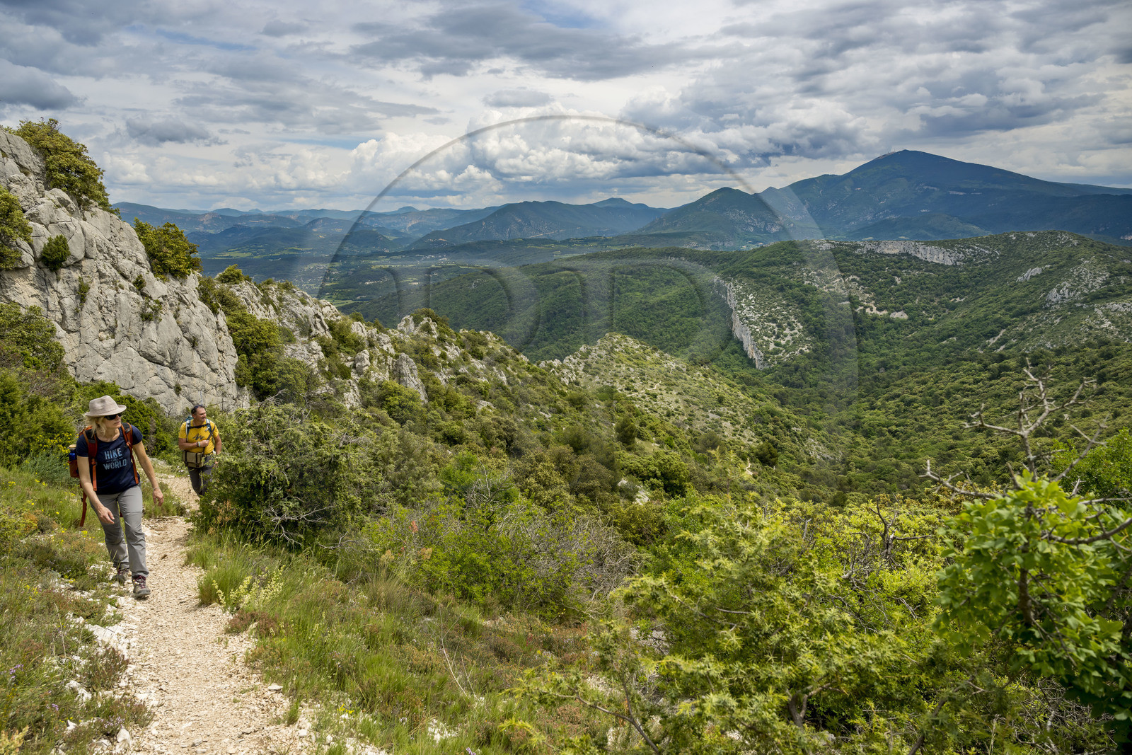 France, Vaucluse (84), Dentelles de Montmirail, randonneurs sur les crêtes de Saint-Amand à la Pousterle aussi appelé le Pas du Loup sur le GR 4, le Mont Ventoux en arrière plan