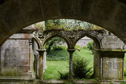 France, Cotes-d'Armor, stop on the Way of St James, Paimpol, Beauport abbey 12th century, the cloister