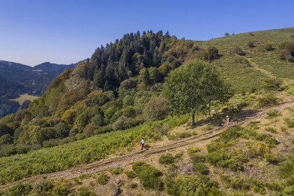 France, Cantal (15), Parc Naturel Régional des Volcans d'Auvergne, Laveissière, sur le chemin de Saint-Jacques de Compostelle par la Via Arverna, randonneurs sur les estives des pentes du Puy de Seycheuse (vue aérienne)