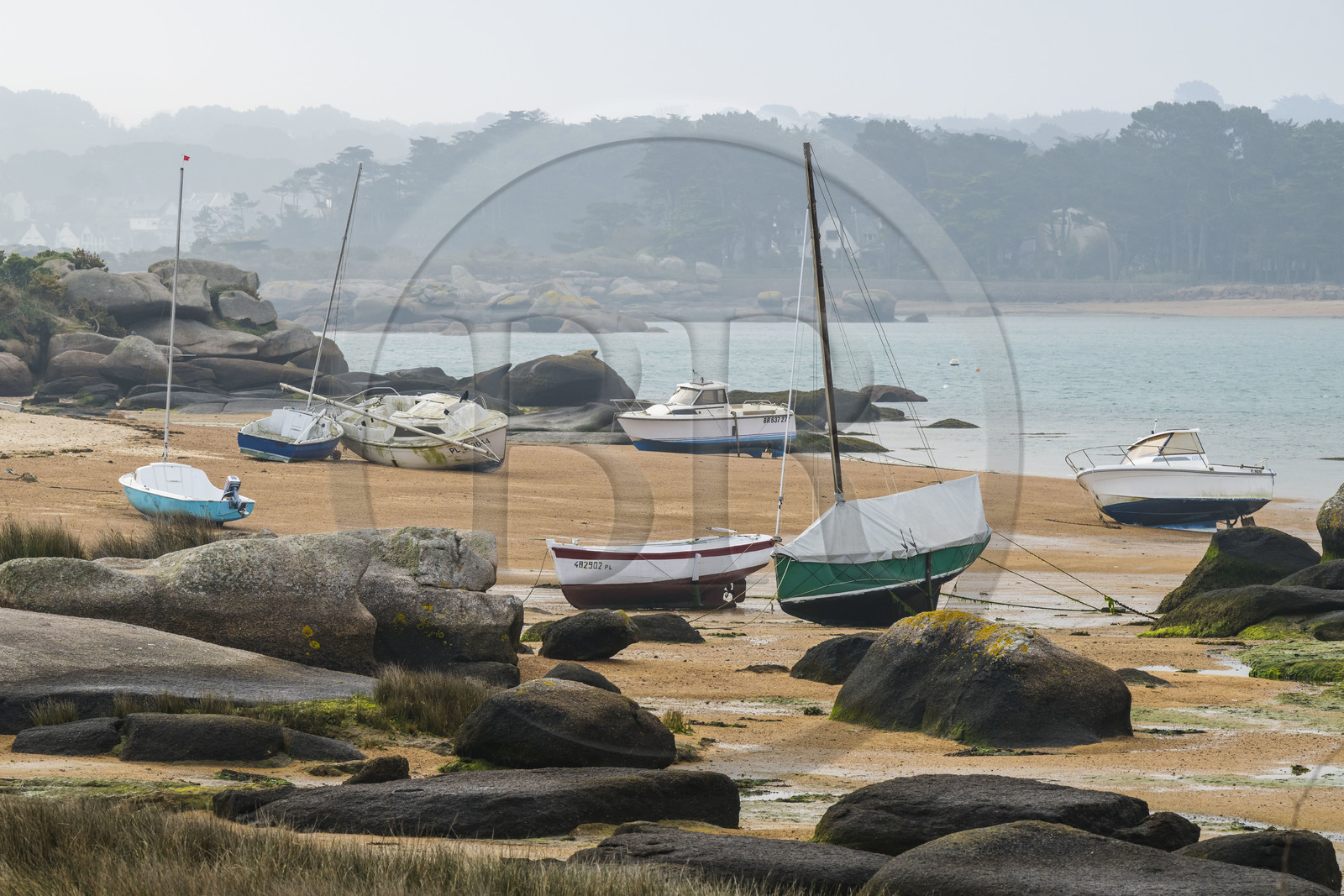 France, Côtes-d'Armor (22), Côte de Granit Rose, Trégastel, Ile Renote, la plage à marée basse