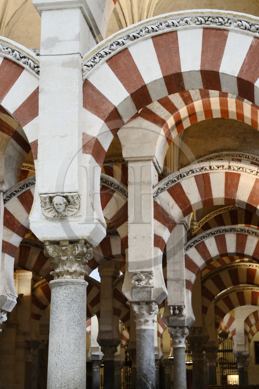 Espagne, Andalousie, Cordoue, centre historique classé Patrimoine Mondial de l'UNESCO, la Mezquita, mosquée-cathédrale, la forêt d'arcs et de colonnades illustre la monumentalité de l'Art omeyyade de Cordoue