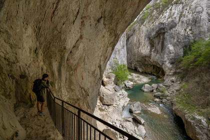 France, Alpes de Haute Provence, Parc Naturel Régional du Verdon, Rougon, Grand Canyon of Verdon in the corridor Samson, seen from the trail sentier Blanc-Martel on the GR4