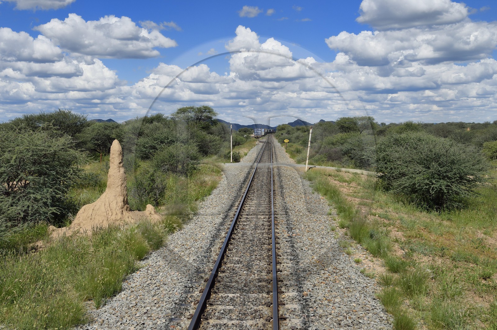 Namibie, région de Otjozondjupa, voie ferrée emprunté par le Shongololo express