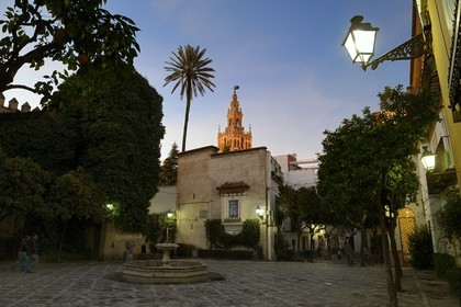 Espagne, Andalousie, Séville, quartier de Santa Cruz, plaza Alianza et La Giralda en arrière plan