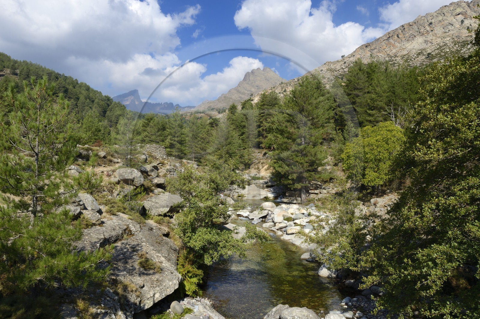 France, Haute-Corse (2B), région du Niolu (Niolo), la rivière Calasima et la montagne du Paglia Orba en forme d’aileron de requin en arrière plan
