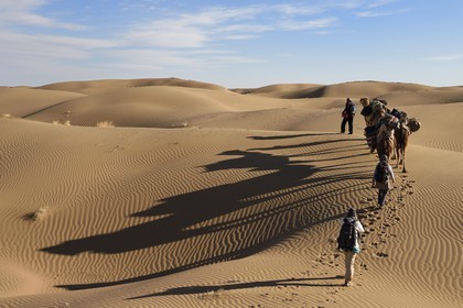 Iran, Isfahan province, Dasht-e Kavir desert, Mesr in Khur and Biabanak County, camel train in the dunes of the place called Kuh-e Sefid in a camel trek