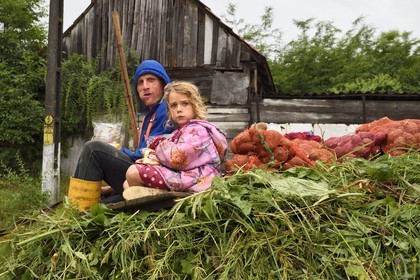 Roumanie, Transylvanie, Biertan, transport des foins en chariot tracté par un cheval