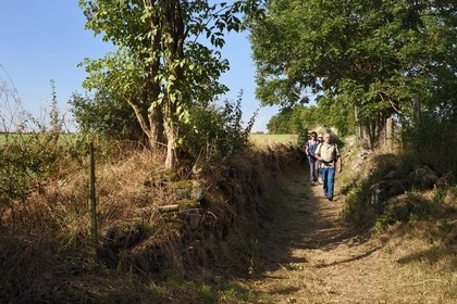 France, Cantal (15), Parc Naturel Régional des Volcans d'Auvergne, étape sur le chemin de Saint-Jacques de Compostelle par la Via Arverna, Chalinargues, hameau de Mons, randonneurs marchant dans le chemin creux