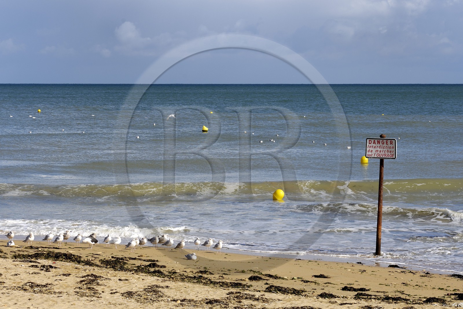 France, Calvados (14), Cote de Nacre, plage de Lion-sur-Mer