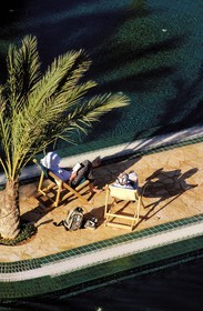 Tunisia, Southern Tunisia, Ksar Ghilane oasis, the swimming-pool of Ksar Ghilane hotel