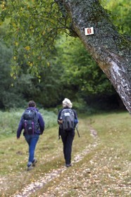 France, Bas Rhin, Northern Vosges Regional Natural Park, Obersteinbach, the GR 53 hiking trail