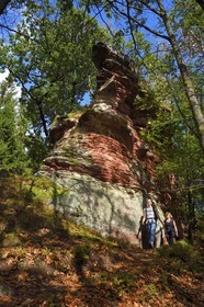 France, Bas Rhin, Northern Vosges Regional Natural Park, Obersteinbach, Steinbach national forest, hikers at the foot of the ruins of the Wittschloessel fort perched on a sandstone rock