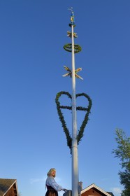 Suède, comté de Dalécarlie, région de Leksand, célébrations du solstice d'été dans le petit hameau de Hjulbäck, l'arbre de mai
