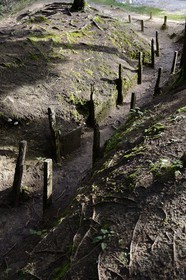 France, Meuse (55), Douaumont, bataille de Verdun, le boyau de Londres, cette artère de communication réalisée en 1917 reliait le fort de Douaumont aux lignes de l'arrière