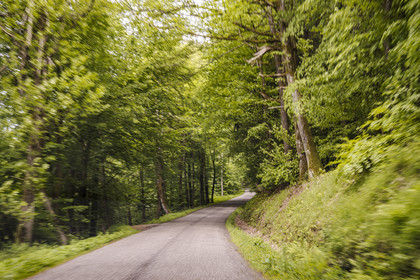 France, Bas-Rhin, Wingen-sur-Moder, the departmental road D256 at the exit of the village towards the North