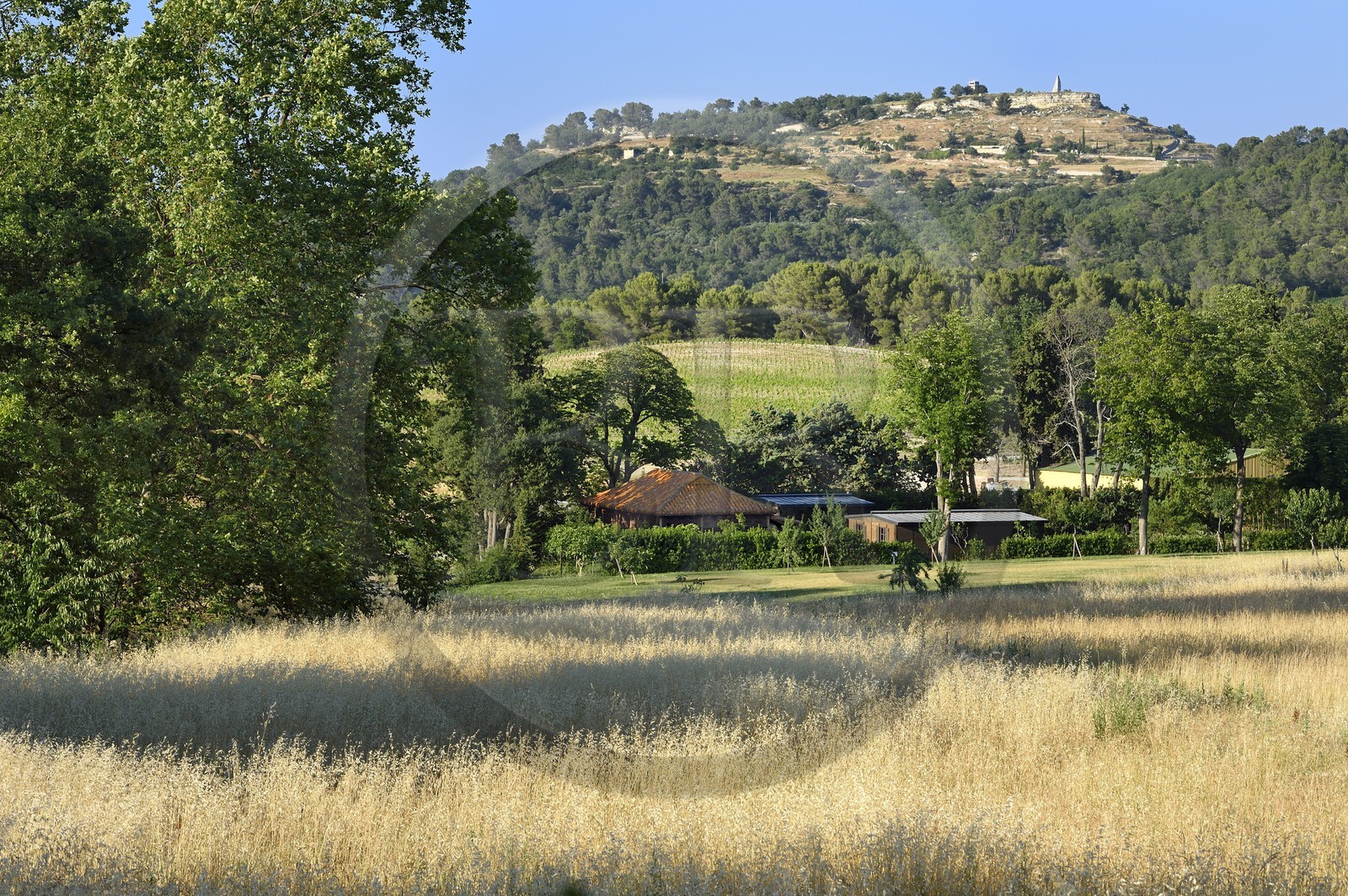 France, Bouches du Rhone,  Le Puy Sainte Reparade, Chateau La Coste vineyard and contemporary art center, Vietnamese Tea Pavilion