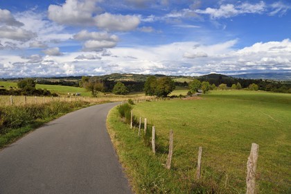 France, Cantal (15), Alleuze, route de campagne en direction d'Alleuze sur les hauteurs de la vallée de la Truyère