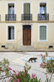 France, Var (83), Massif des Maures, Collobrières, maison bourgeoise