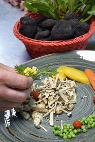 France, Var (83), Aups, restaurant Le Provençal, recette à base de truffes d'été, ris d'agneau à la sauce crème et truffes d'été