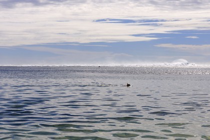 France, île de la Réunion, Saint-Paul, la plage du lagon de la Saline-les-Bains