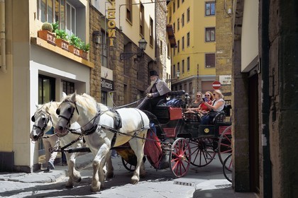 Italy, Tuscany, Florence, listed as World Heritage by UNESCO, horse carriage on the street Borgo Santi Apostoli