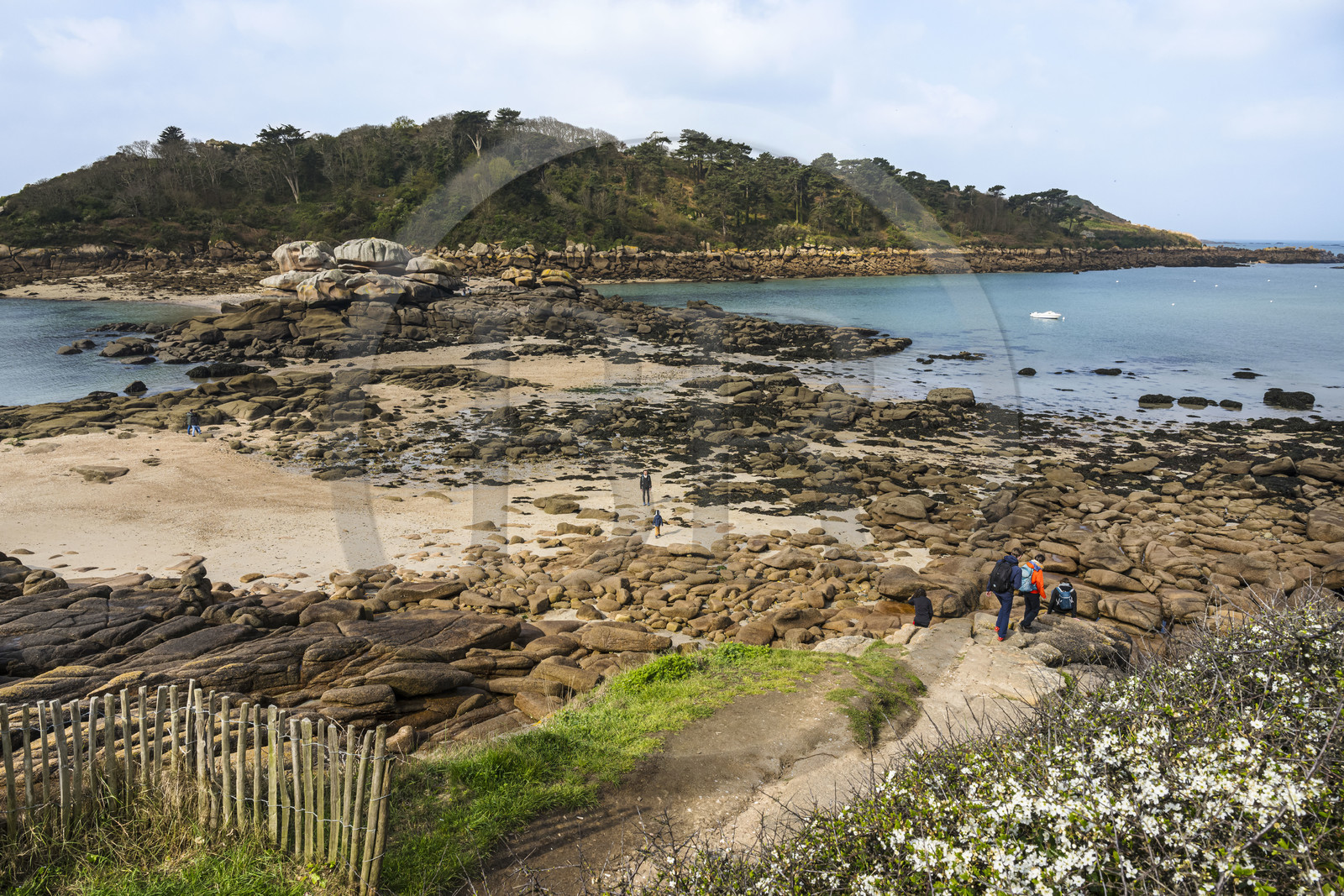 France, Côtes-d'Armor (22), Côte de Granit Rose, Trébeurden, Ile Millau, l'ile est uniquement accessible à pied et à marée basse depuis la pointe du Castel