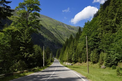 Romania, Wallachia, Muntenia, Arges County, the Fagaras Mountains along the Transfagarasan Road in the Southern Carpathians