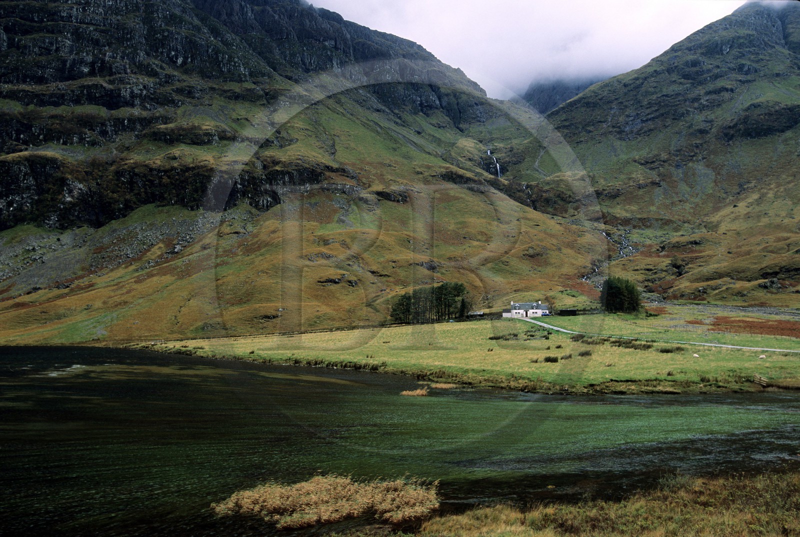 United Kingdom, Scotland, the Highlands, small farm in the Glencoe valley (Mac Donald massacre by the Campbell)