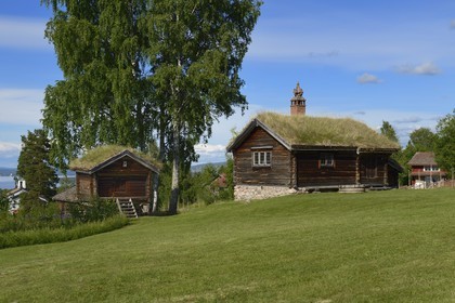 Sweden, Dalarna County, Leksand area, Tällberg, traditional house with green roof