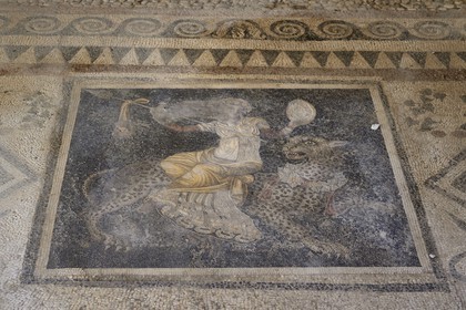 Greece, Cyclades islands, Delos, listed as World Heritage by UNESCO, the archaeological site of Delos, Apollo's Sanctuary, the most ancient city of the Aegean Sea, mosaic depicting Dionysus on a cheetah in the House of Masks