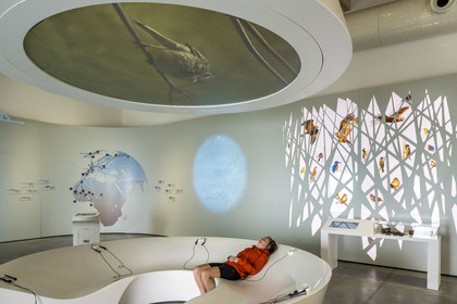France, Loire Atlantique, Cordemais, the Terre d’Estuaire discovery center, follow the migration of estuary birds