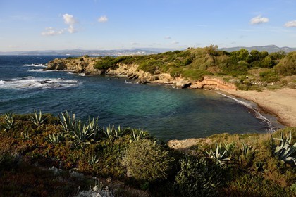 France, Var (83), Ile des Embiez, plage de la Gabrielle sur la côte Nord