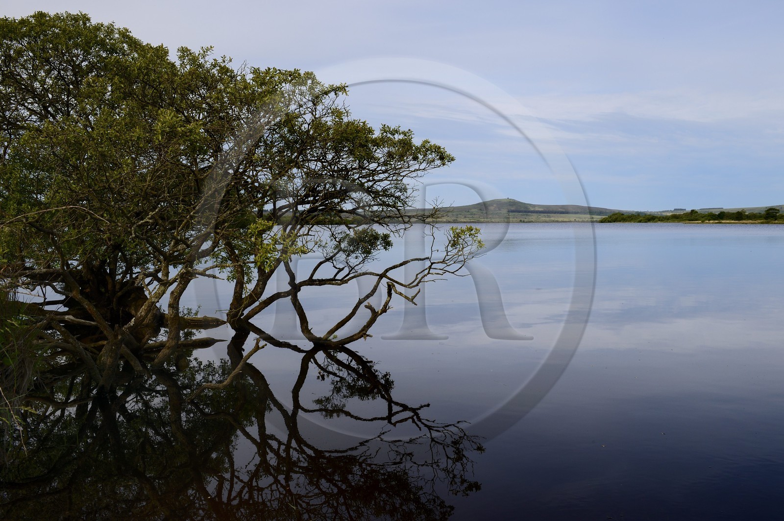 France, Finistère (29), parc naturel régional d'Armorique, Monts d'Arrée, Brasparts, le réservoir de Saint-Michel et la chapelle Saint Michel au sommet du Menez Mikaël en arrière plan