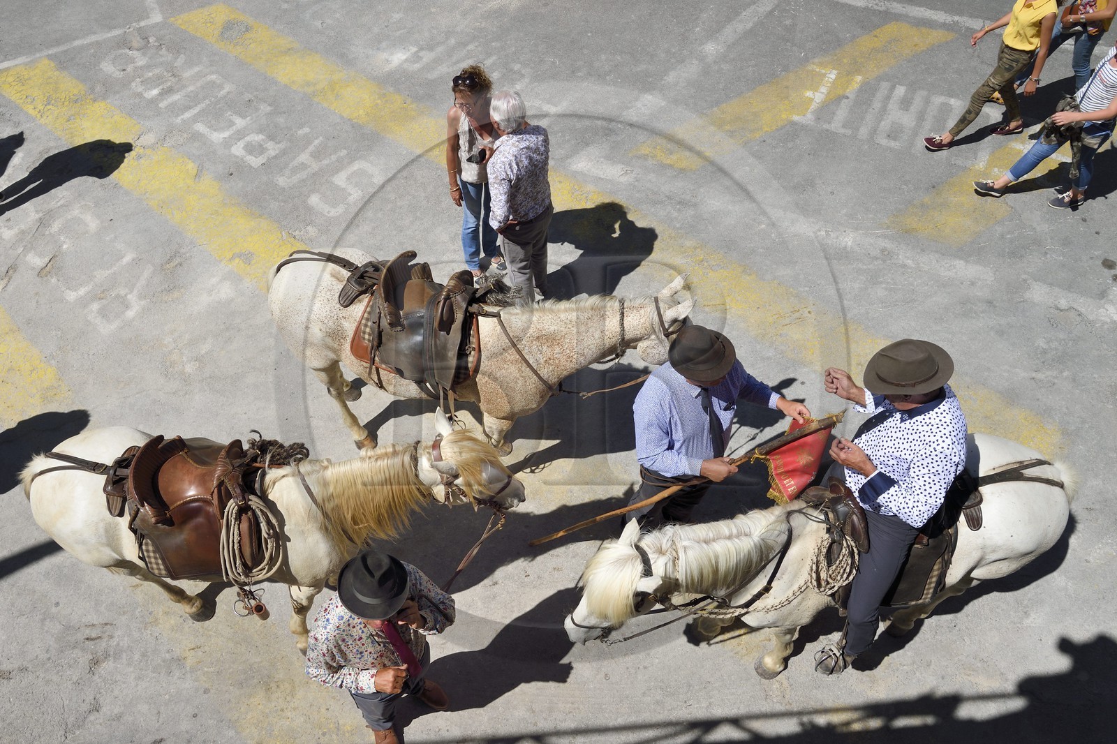 France, Bouches-du-Rhône (13), Arles, la course camarguaise de la Cocarde d'Or aux Arènes, gardians à cheval