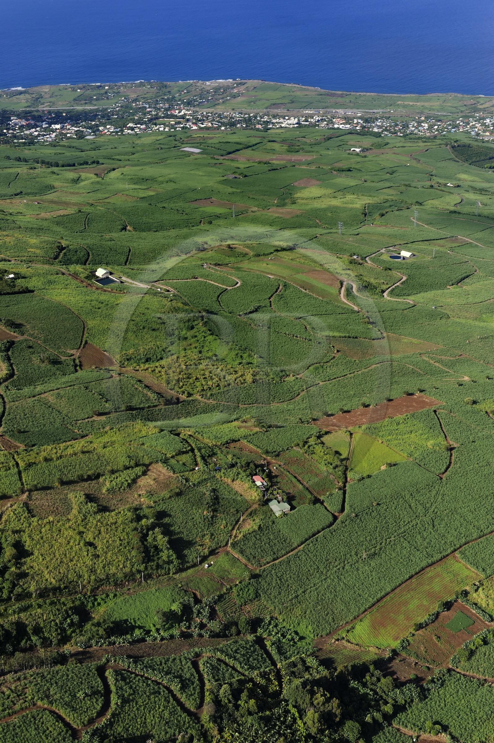 France, Ile de la Reunion, Cote ouest, les champs de cannes à sucre sur les pentes du Tevelave au dessus de piton Saint Leu (vue aérienne) France, Ile de la Reunion, Cote ouest, les champs de cannes à sucre sur les pentes du Tevelave au dessus de piton Saint Leu (vue aérienne)