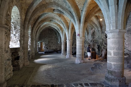 Switzerland, Canton of Vaud, Veytaux, Chillon castle on the shores of Lake Geneva (Lac Leman), the castle undergrounds supported by Gothic vaults and in which the rock is visible were used as a prison and then as a storage place