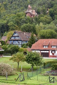 France, Bas Rhin, Northern Vosges Regional Natural Park, Obersteinbach, Klein Arnsberg Castle ruins overlooking the village