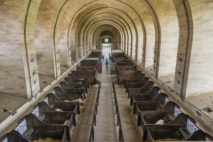 France, Oise, Chantilly, the castle of Chantilly, the Grandes Ecuries, horse museum, the two naves accommodate stalls for the horses
