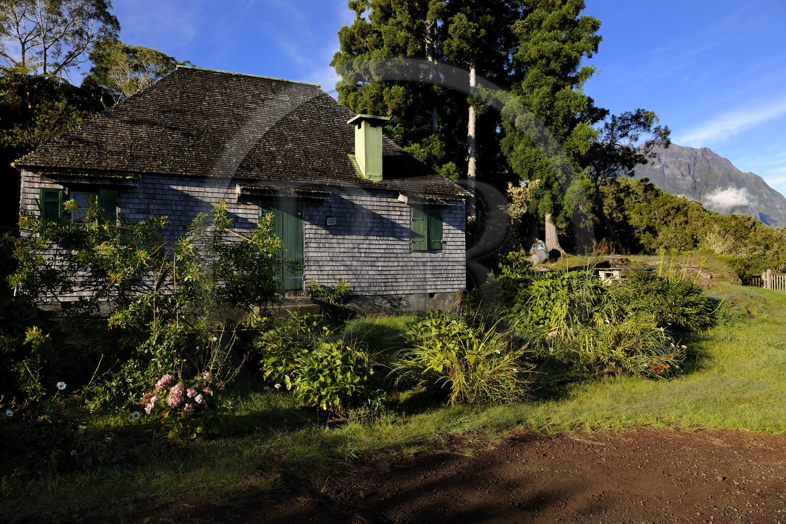 France, île de la Réunion, forêt de Bélouve, gîte de Bélouve